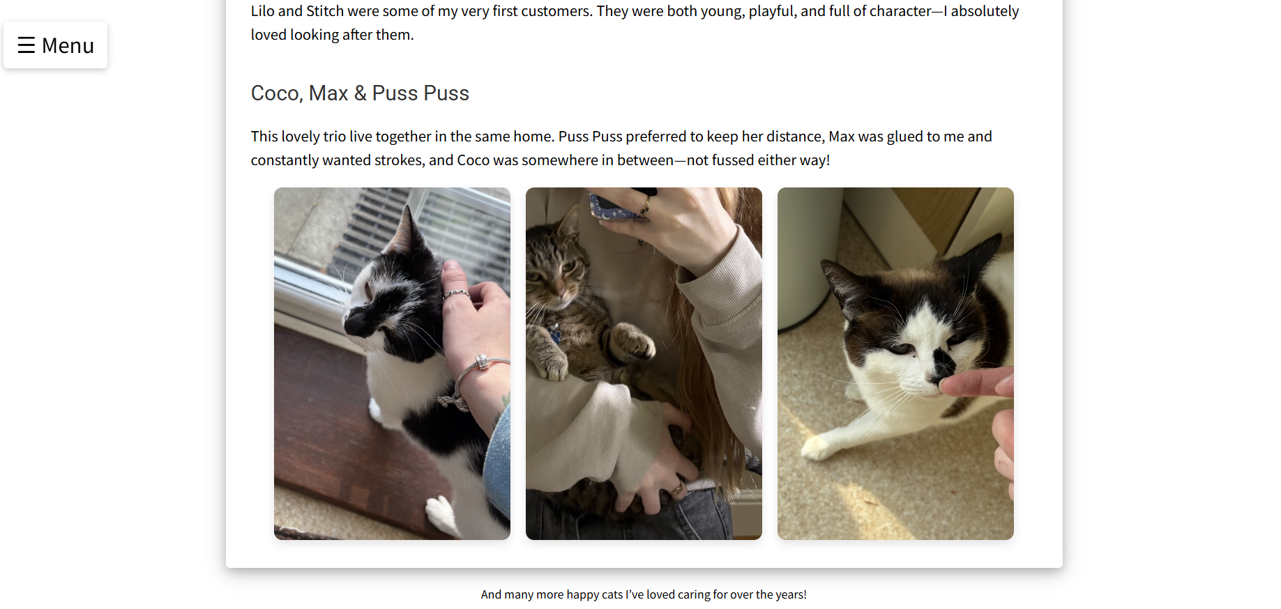 Gallery of cats I've looked after