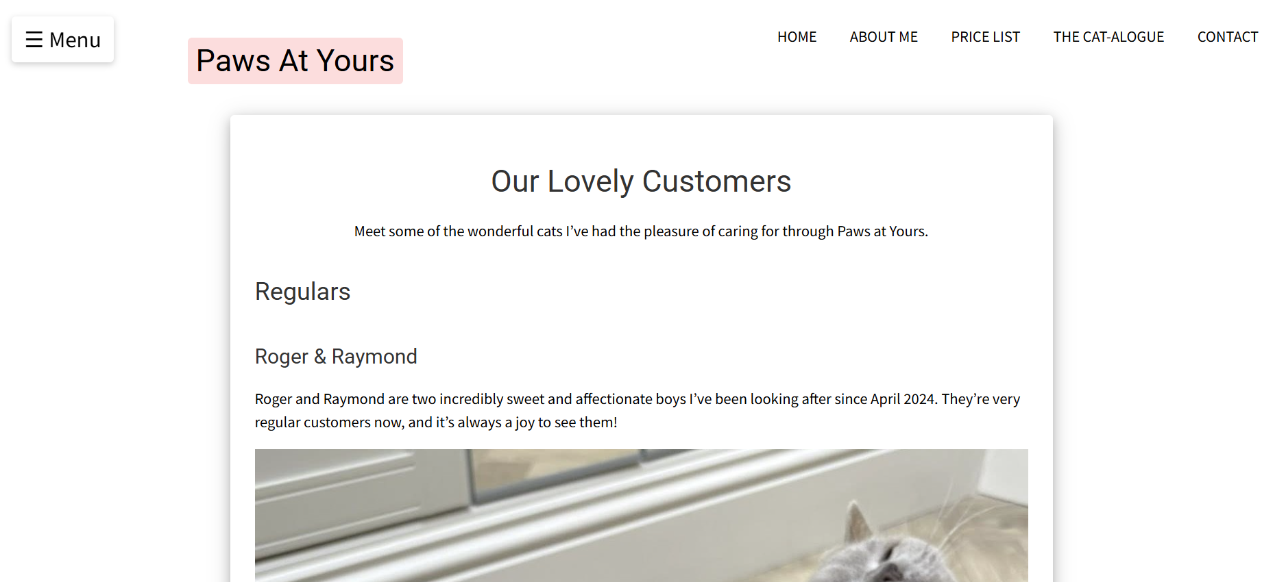 Gallery of cats I've looked after