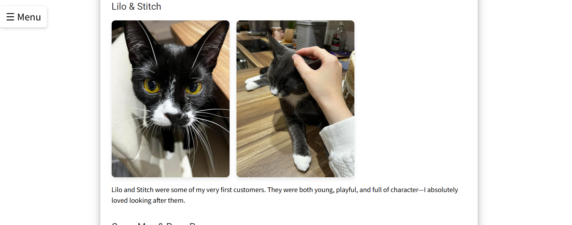 Gallery of cats I've looked after