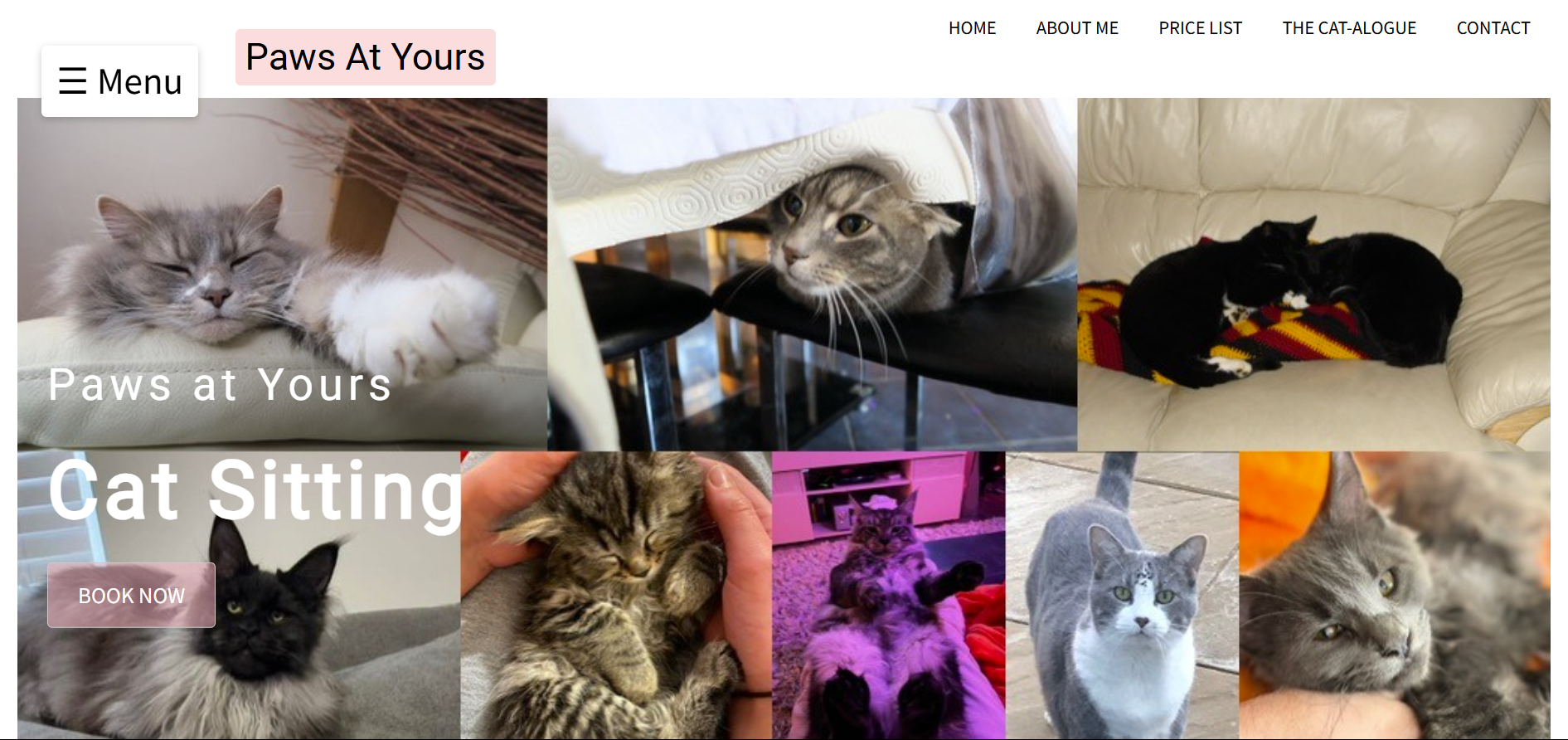 Homepage collage of cats
