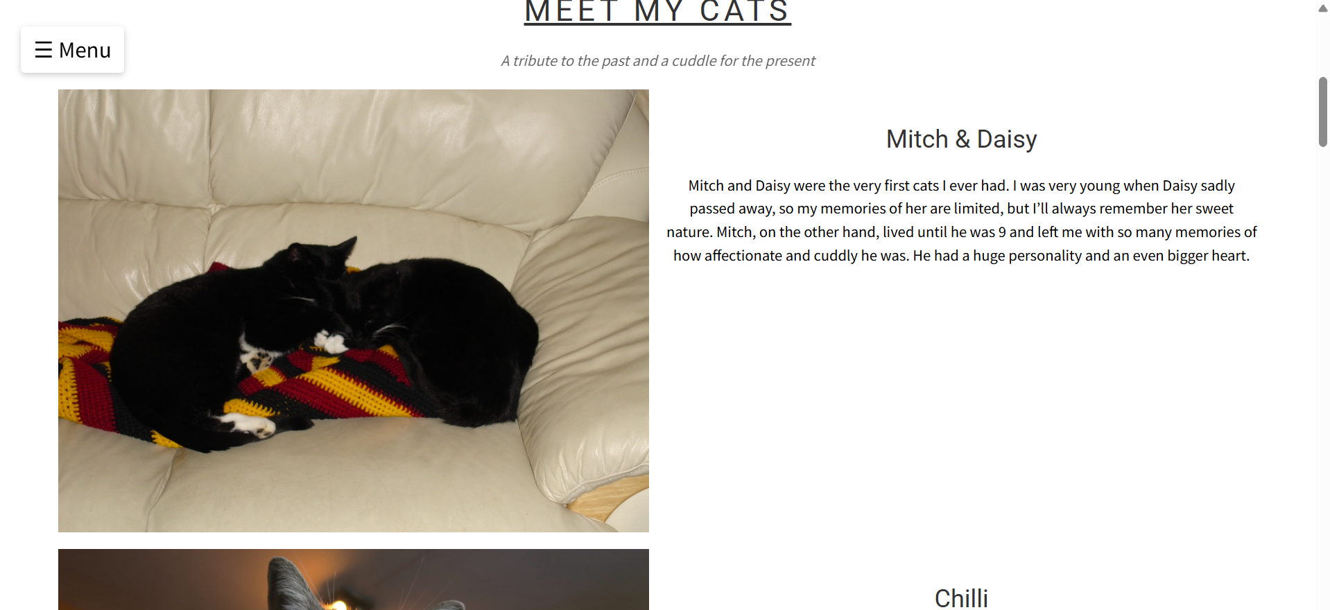 Photos and descriptions of my cats