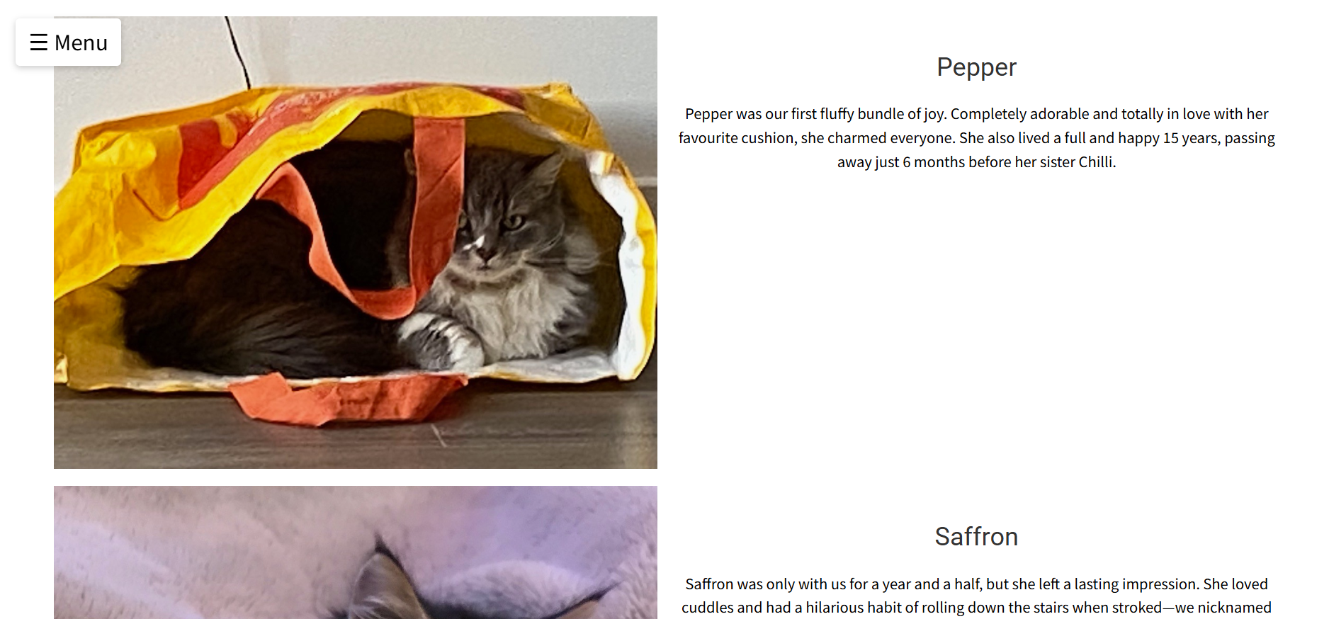 Photos and descriptions of my cats