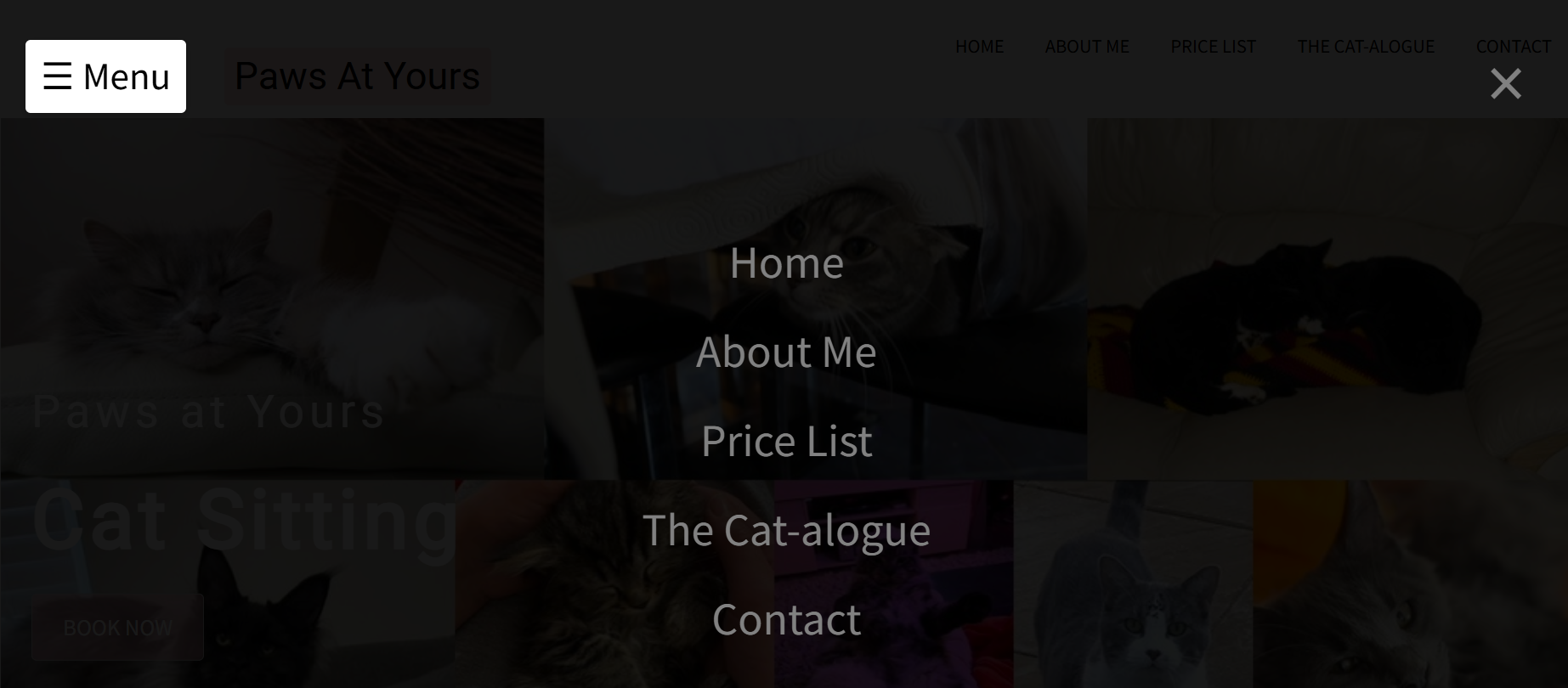 Menu overlay with navigation