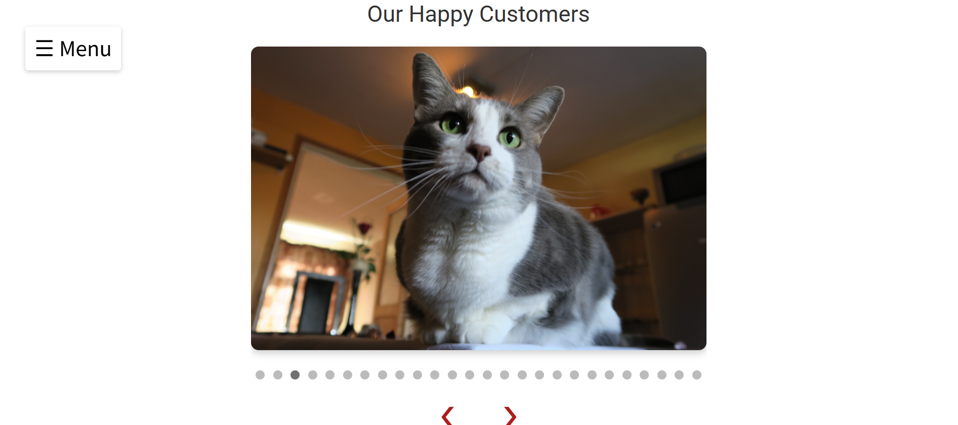 Slideshow feature in action